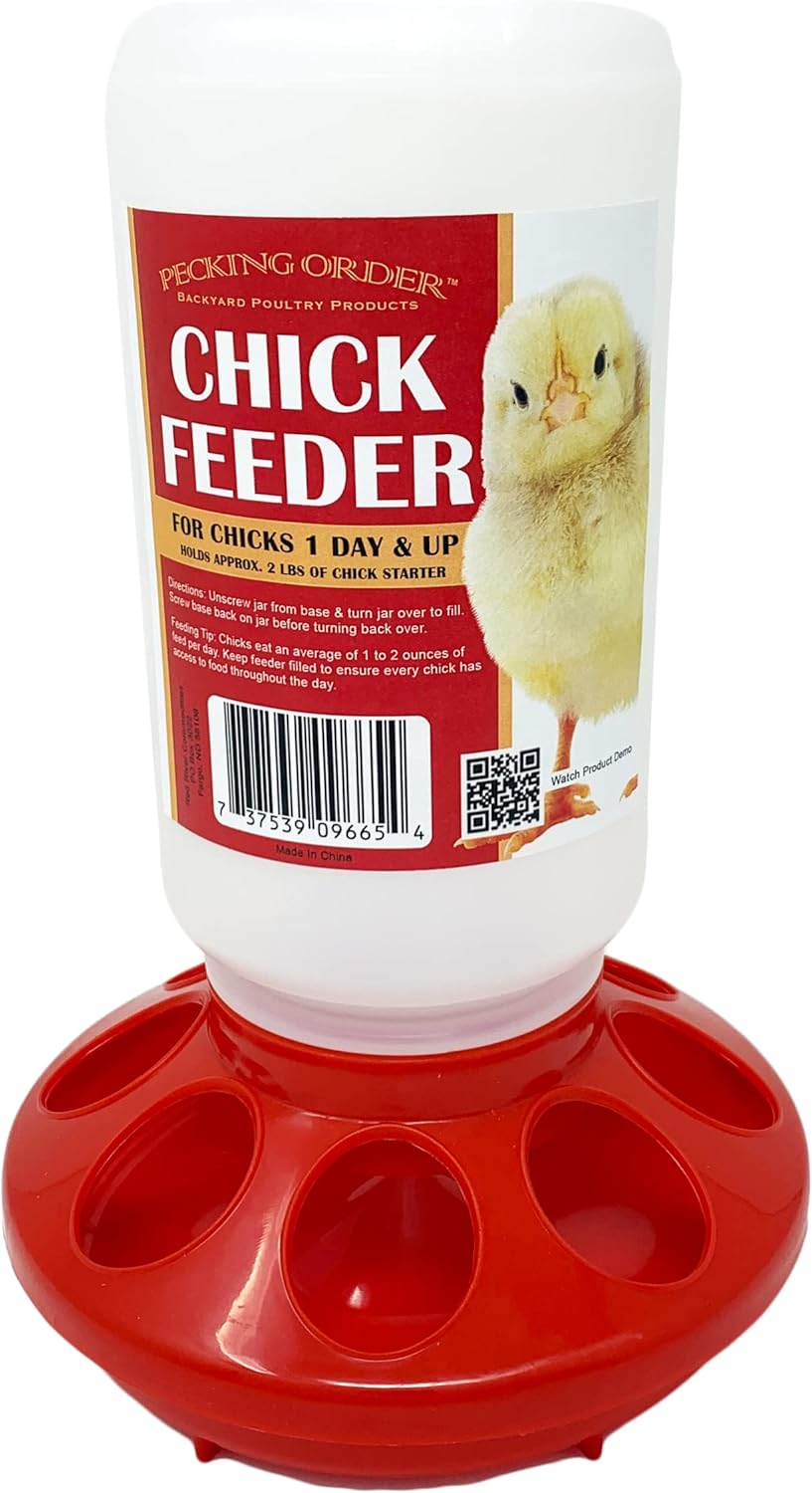 Pecking order Chick Feeder