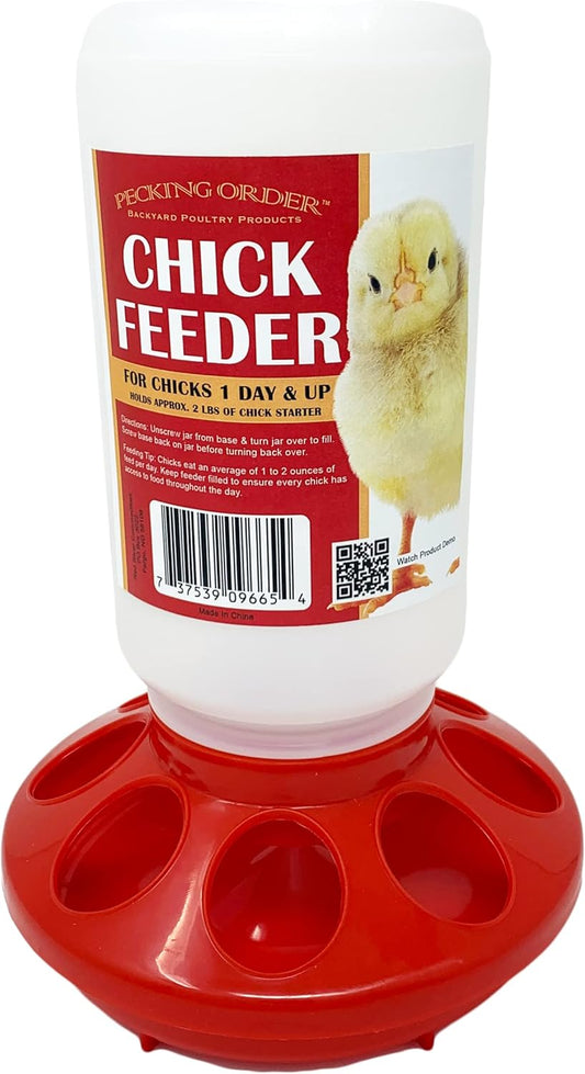 Pecking order Chick Feeder