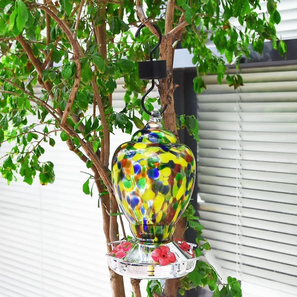 Hummingbird Feeder Ant Moat, Hummingbird and Oriole Feeder Hanging Ant