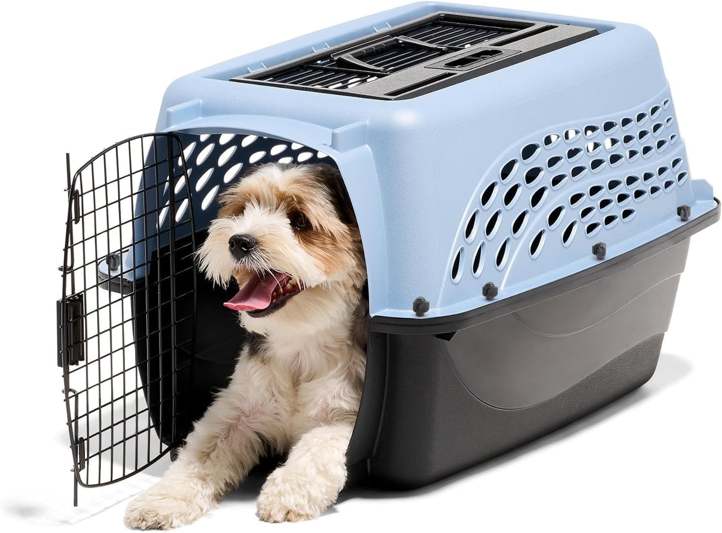 Petmate Dog Crates for Small Dogs & Cat Carriers, Two-Door Plastic Pet