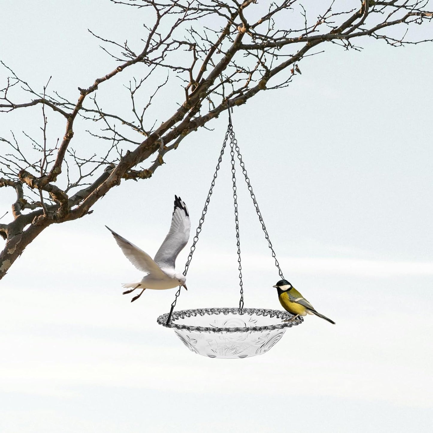 Milisten Hanging Bird Bath Metal Bird Feeder Bath Bowl Feeder Tray Wild Dish for Garden Backyard Patio and Yard