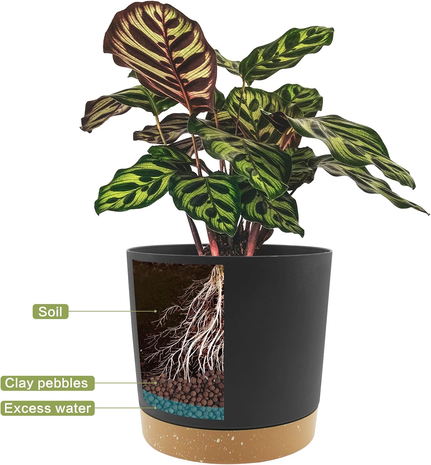 QCQHDU 8 inch Plant Pot, 2 Pack Planters for Indoor Plants with Draina