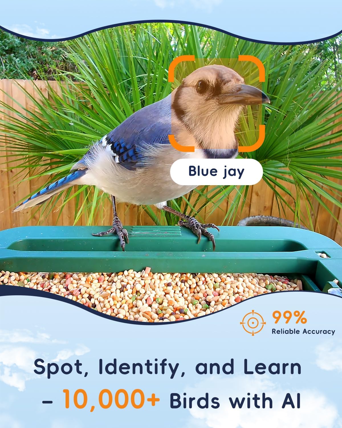 Bird Feeder with Camera, 32MP Photos & 4K Video with Live View, 5GHz/2.4GHz WiFi, AI Identify Birds Species and Instant Arrival Alerts for Bird Lovers