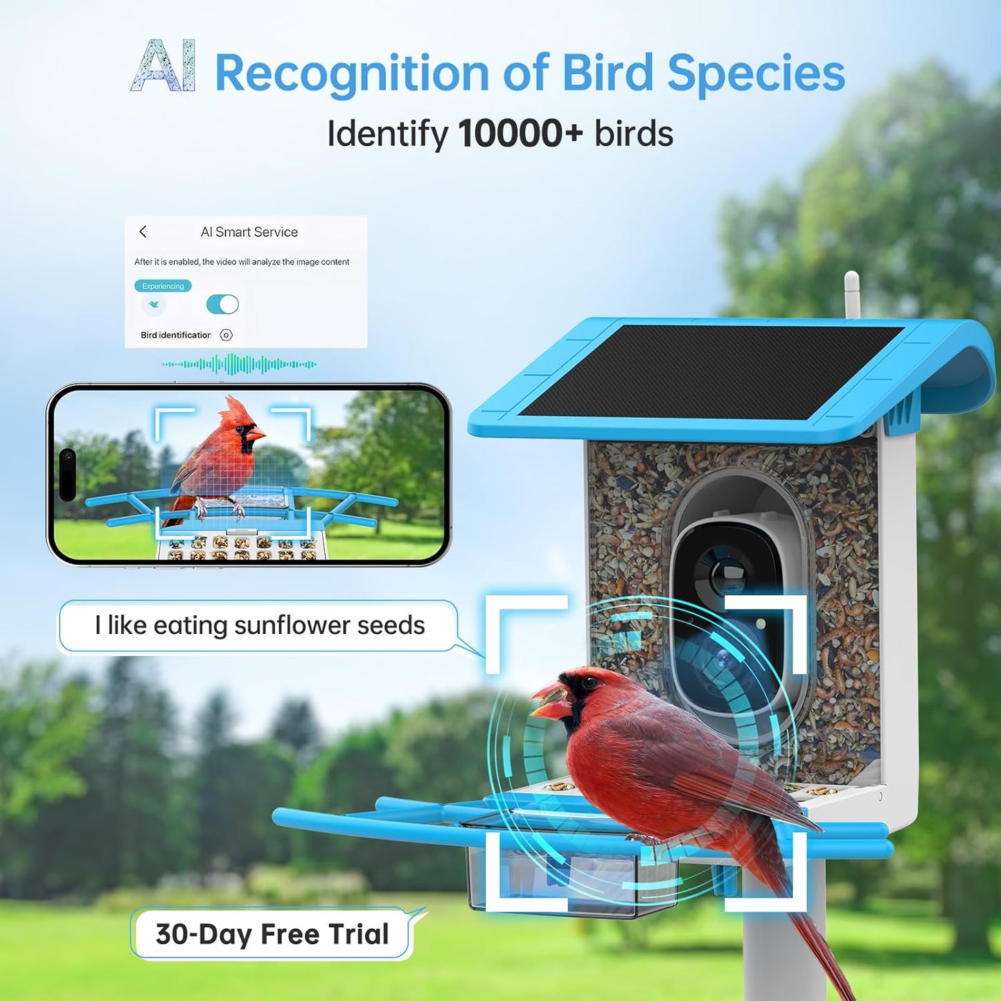 SMONET Bird Feeder with Camera B300: Smart Birdhouse Camera AI Recognition Solar Powered,Outdoor Wireless WiFi Birdfeeder Watching Live Video,Funny Birthday Gifts for Mom Mother Grandma Daughter
