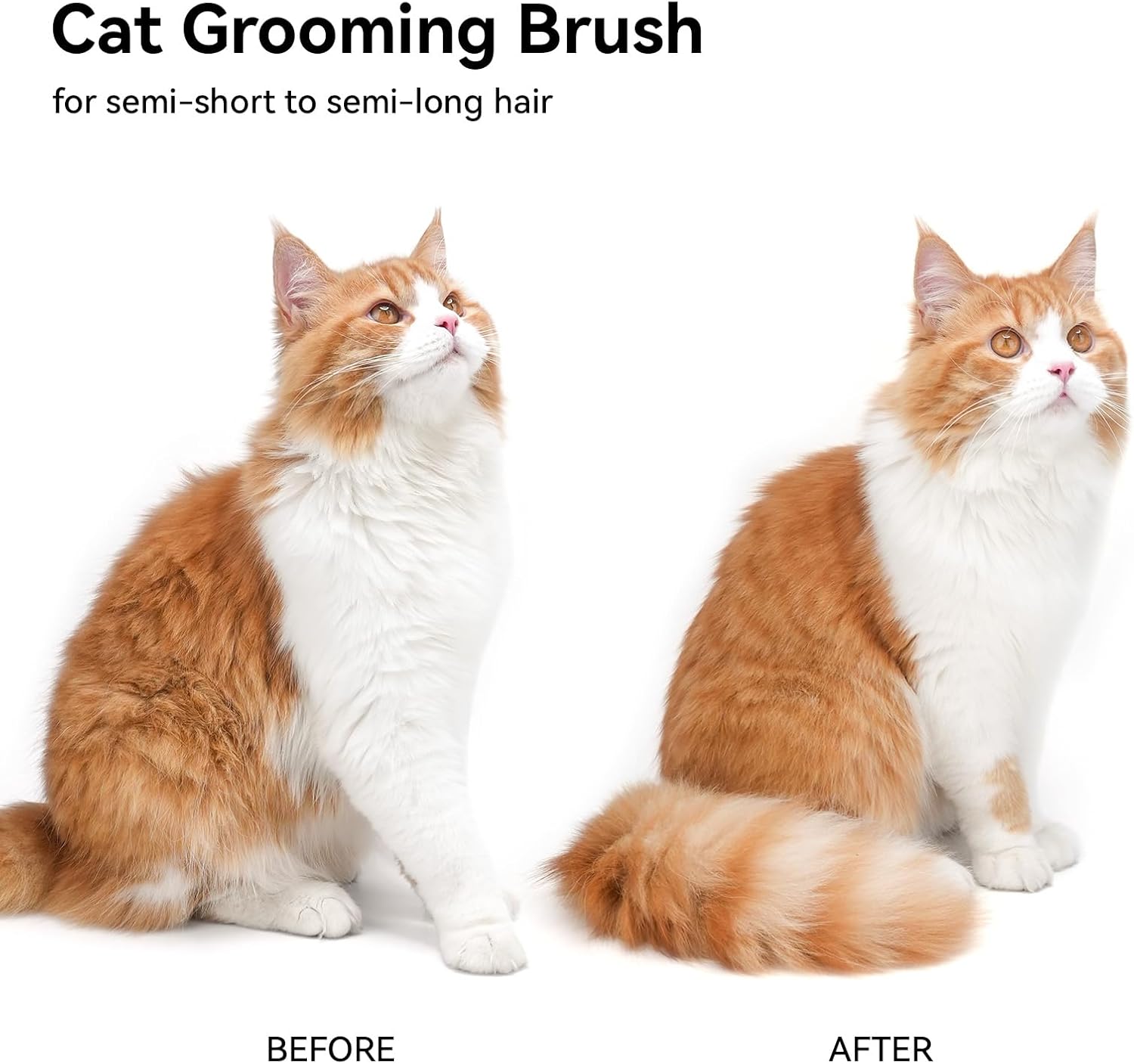 Aumuca Cat Brush for Shedding, Cat Brushes for Indoor Cats, Cat Brush 