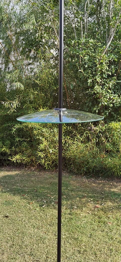 13" Glass Rain Cover for Bird Feeder Outdoors - Baffle on Shepherd Pole/Post or S Hook Hanging - Large Weather Guard Protective Dome - Clear (Dia. 33CM)