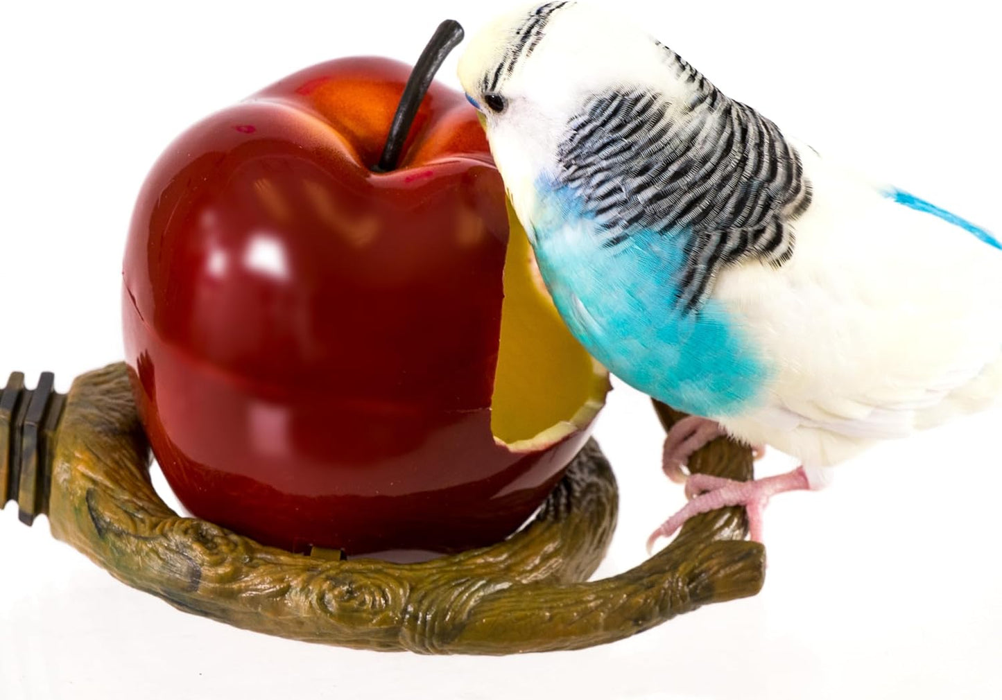 Penn-Plax Garden Cups – for Seed, Water, and Treats – Great for Small Birds (Parakeets/Budgies, Parrotlets, Cockatiels, Canaries, & Finches) – Apple (BA450)