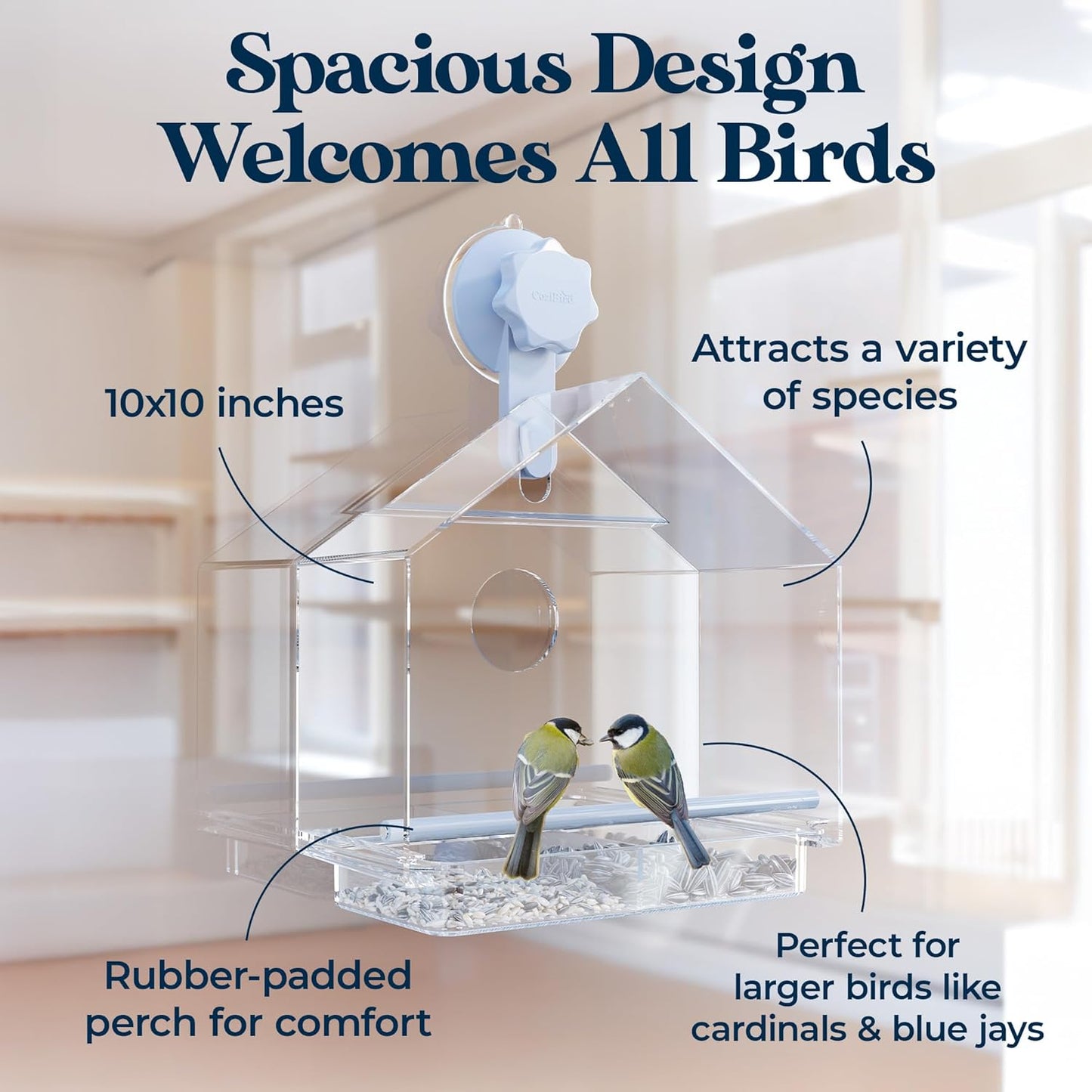 Window Bird Feeder with Ultra Strong Suction Cup - Large Clear Acrylic Weatherproof Birdhouse (Heavy Duty Suction Grip)