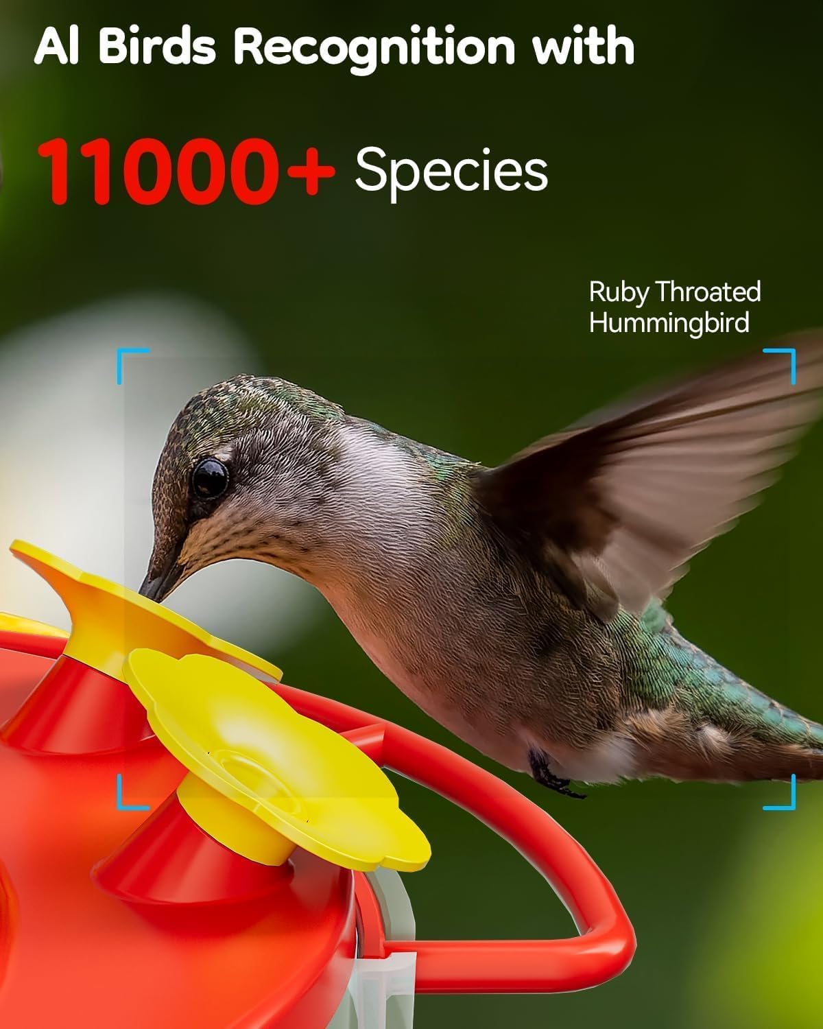LongPlus® Hummingbird Feeder with Camera, Ant Moat, Bee Proof, Bird Feeder with Camera, Bird Watching Camera with 3 Feeding Ports, Instant Notification, Ideal Gift