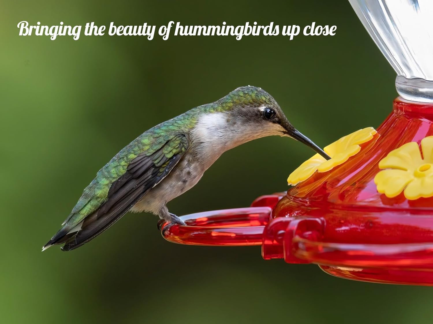 Plastic Hummingbird Feeders for Outdoors Hanging, 2 Pack 13 Ounces Ant