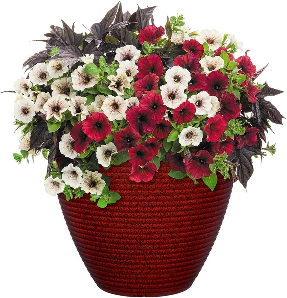 Classic Home and Garden Cali Modern Round Resin Planter for Indoor Out