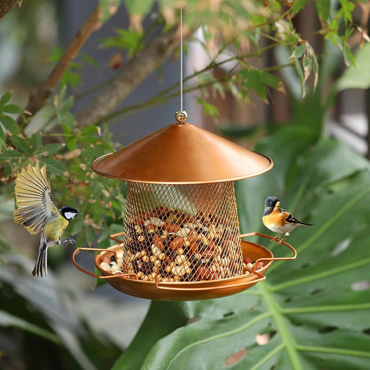 Bird Feeder - Heavy Duty Waterproof Iron Art - Small Wild Bird Food Feeder for Outside,for Finches Robins Sparrows Canary Budgies Backyard Balcony Patio Terrace