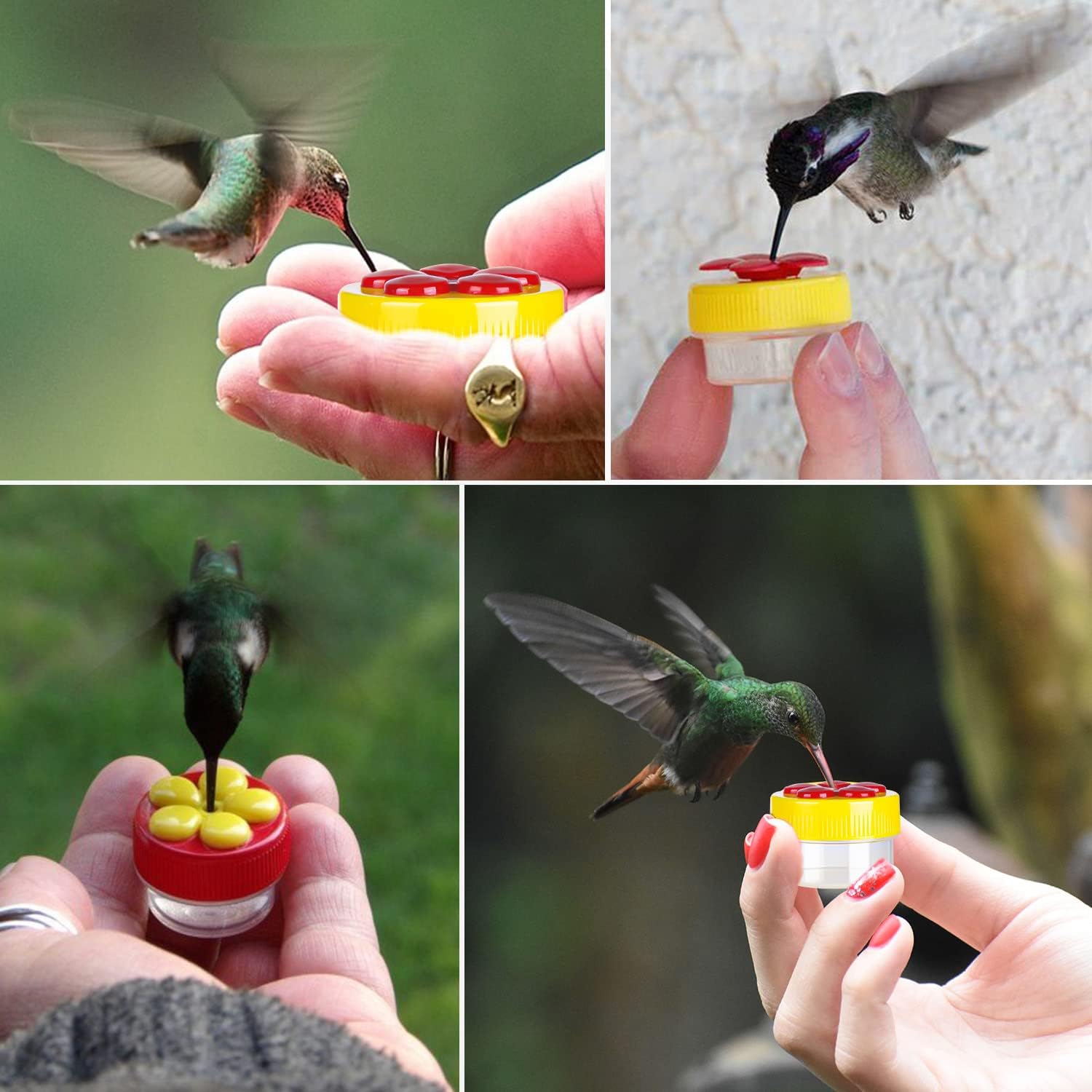 Hand Hummingbird Feeder, 4Pcs Mini Flower Hand Held Hummingbird Feeder