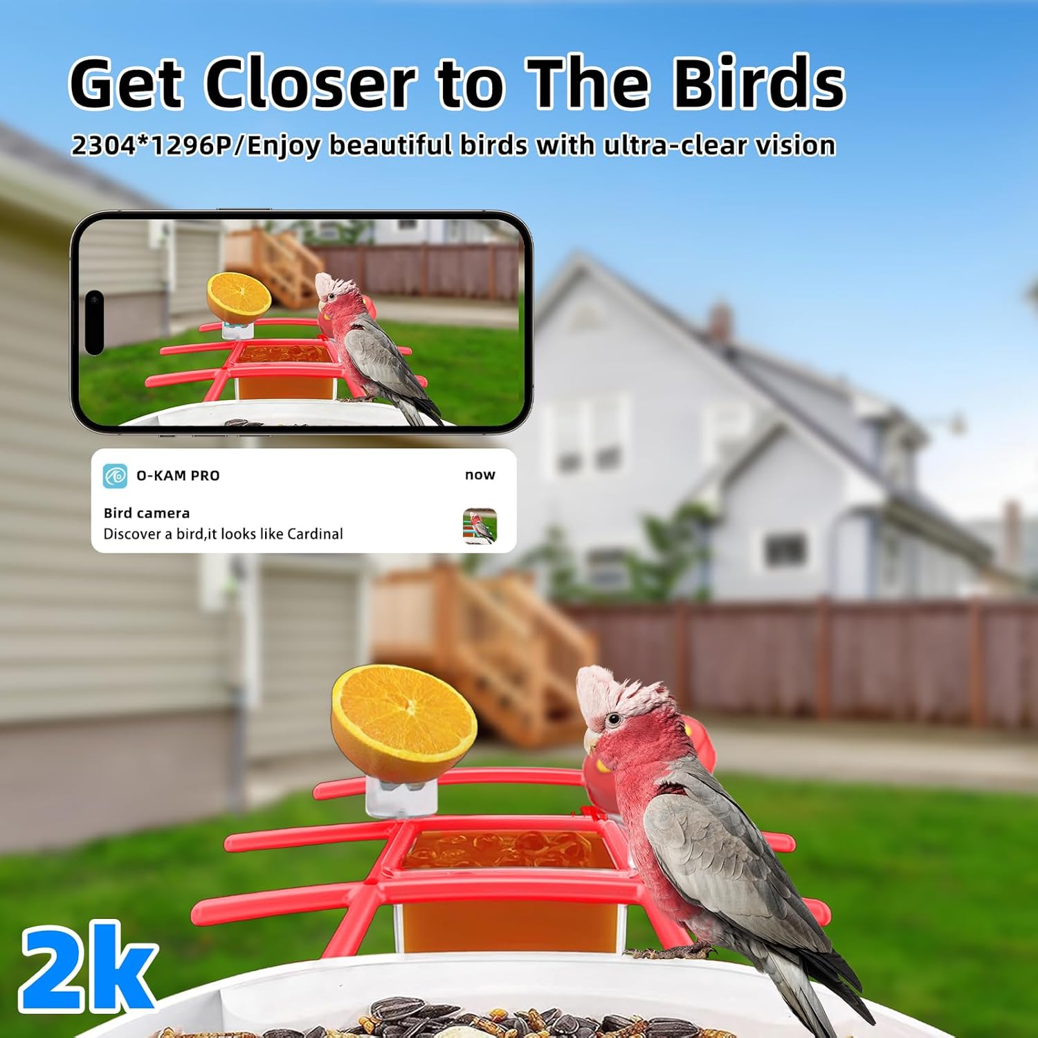 2K Smart Bird Feeder with Camera, 2.5L Ai Smart Bird House for Outdoor