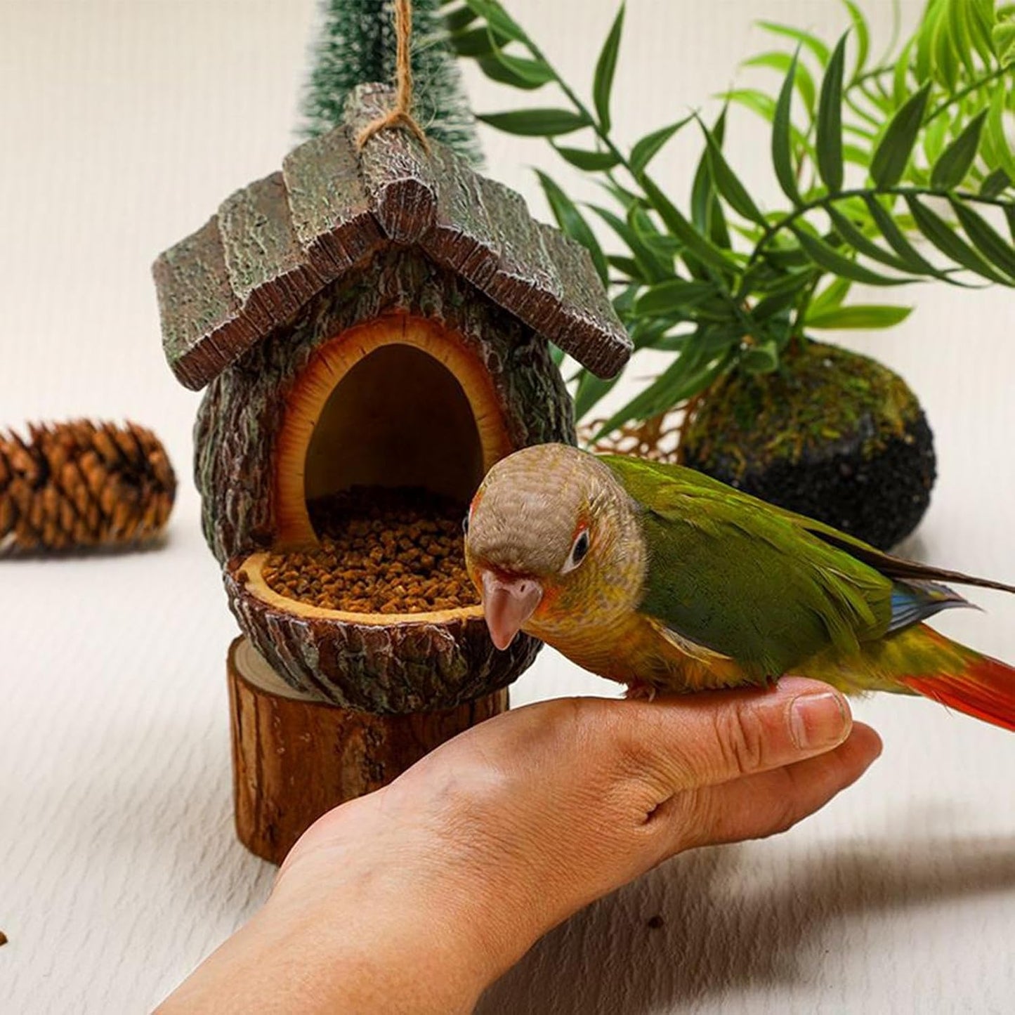 Bird Feeder, Decorative Hummingbird Station Open Design, Decorative Bird Feeders with Easy Fill and Clear Viewing, Outdoor Accessory for Hummingbird Squirrel Viewing Feeding Window Balcony Garden
