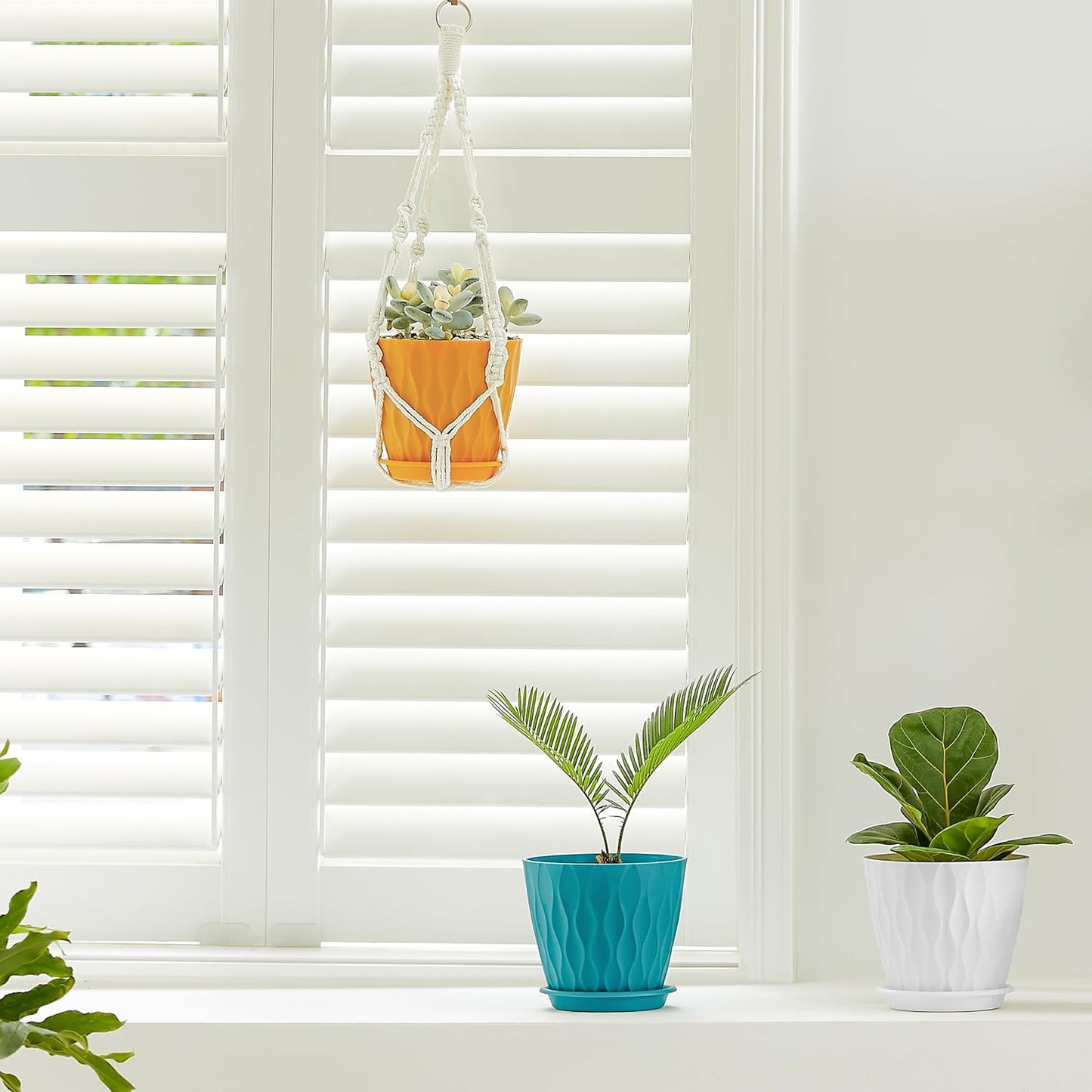 FaithLand 6-Pack 6-Inch Plastic Plant Pots with Saucers | Thickened PP
