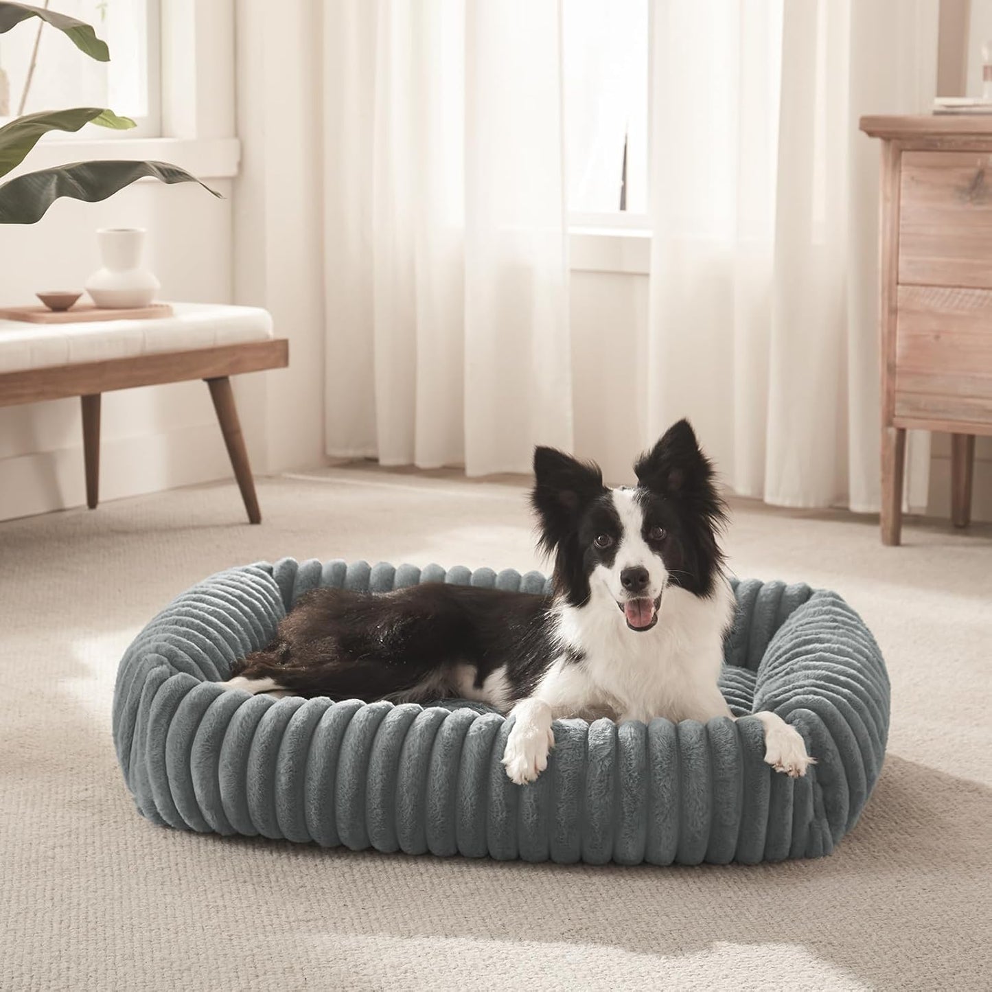 FURTIME Dog Bed for Small Dogs, Washable Orthopedic Dog Bed with Remov