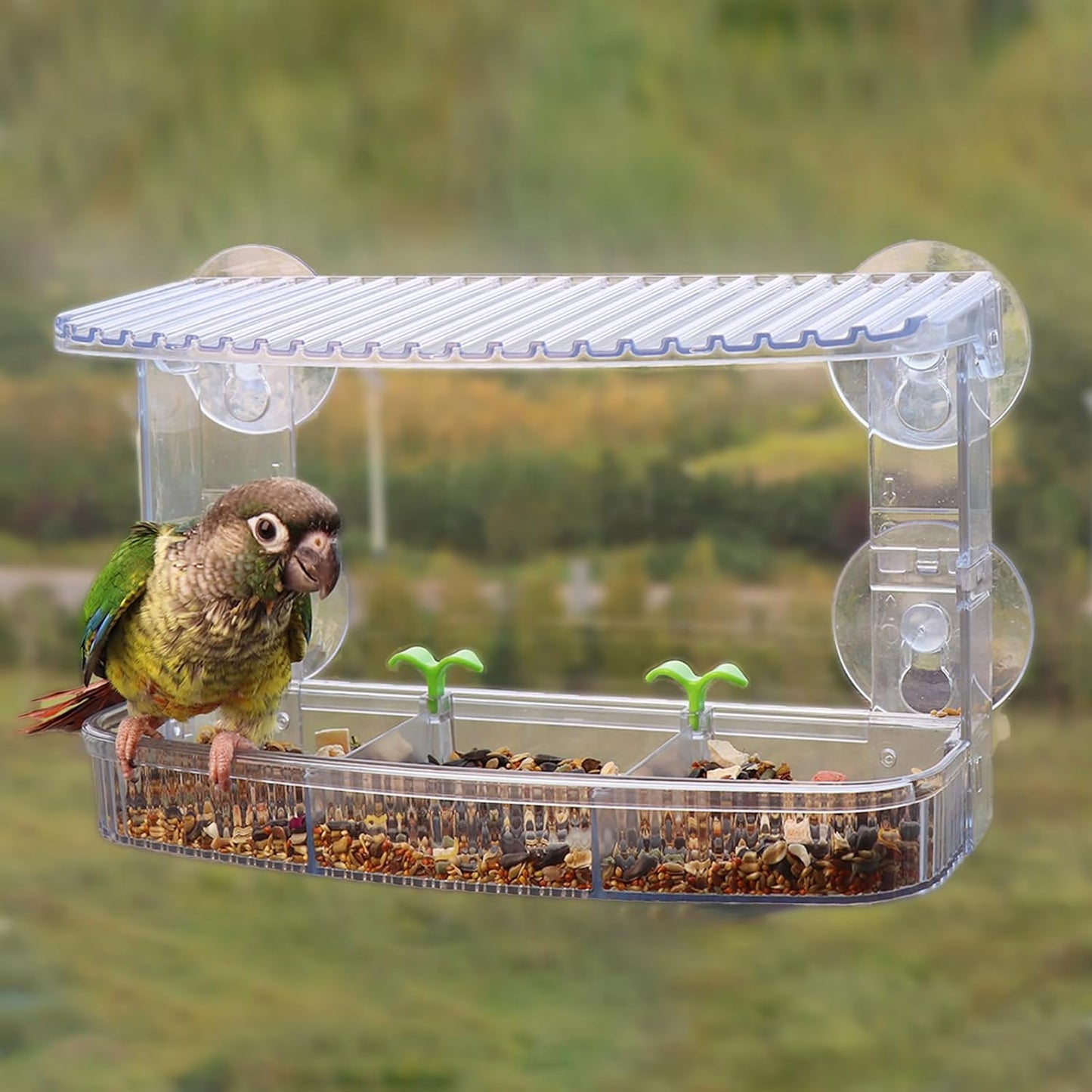 Transparent Acrylic Window Bird Feeder 3-Tier Removable Trays - 8 Suction Cups for Indoor/Outdoor Small Bird Feeding (Parrots, Finches)