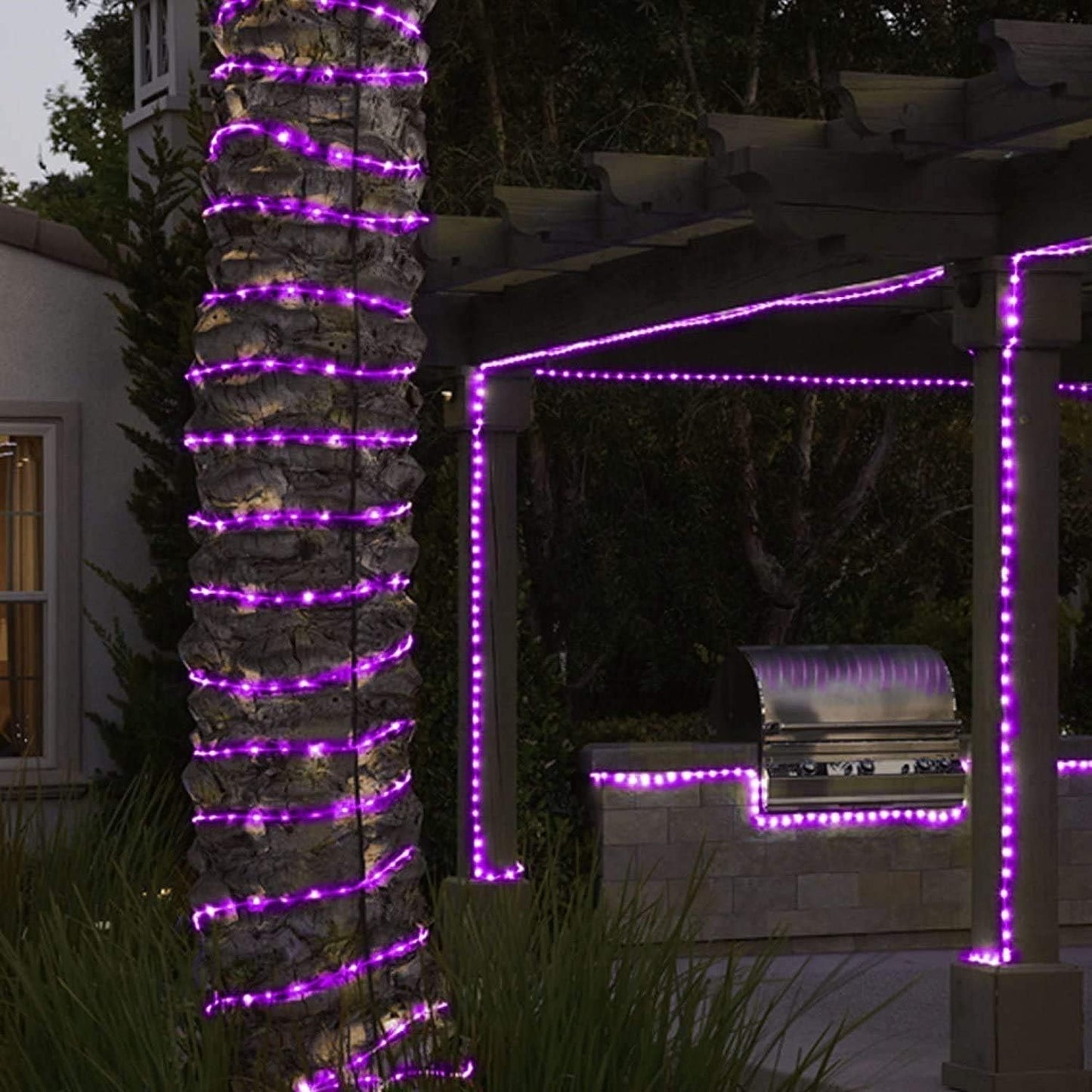 Solar Rope Lights, 500 LEDs 170ft Waterproof Solar Rope Lights with Copper Wire, Patio, Path, Tree, Holiday and Party Decorative (Purple)