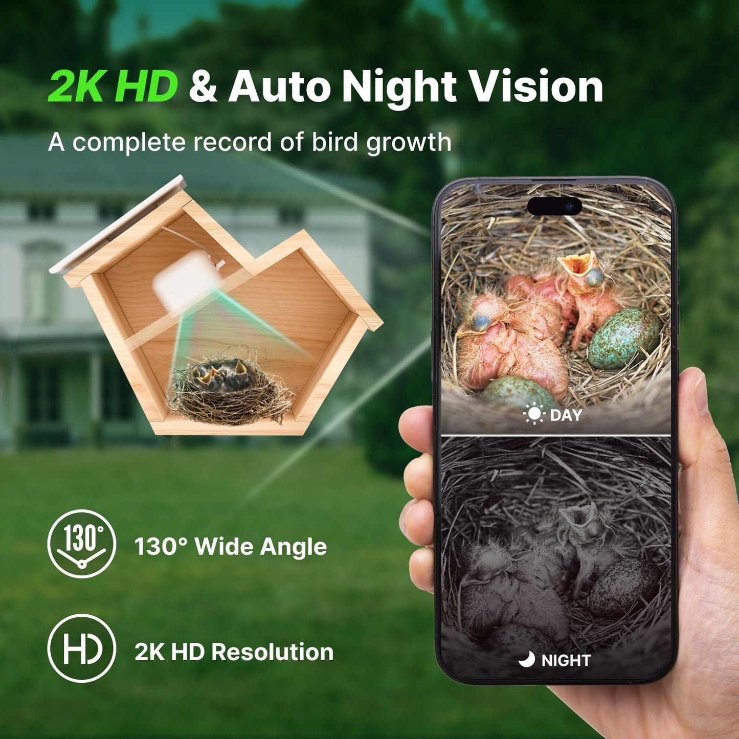 Smart Birdhouse with 2K HD Camera, Solar Powered & Battery, Night Visi