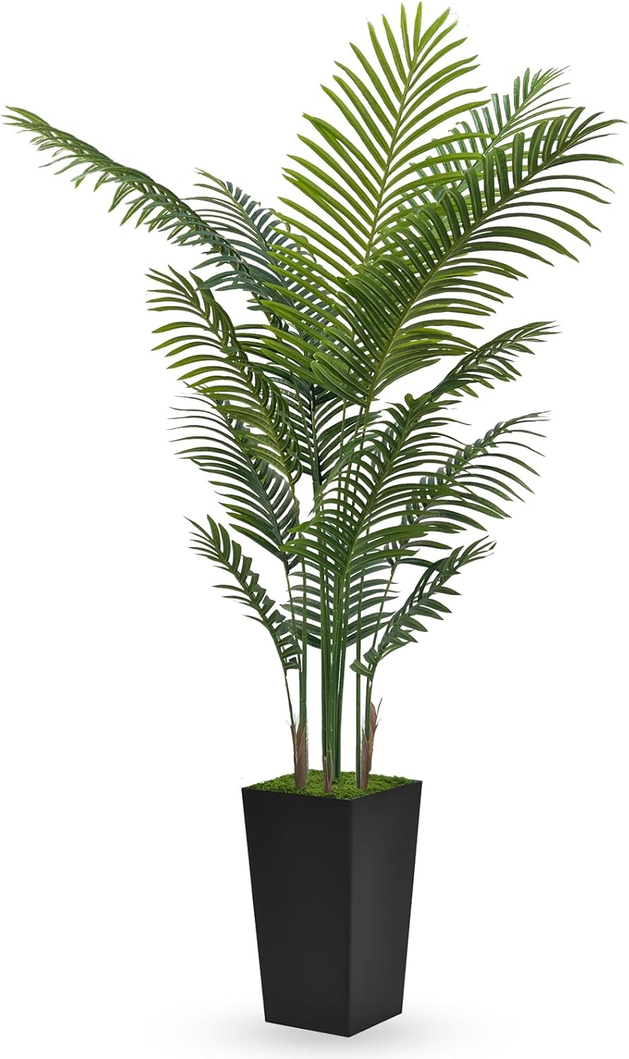 Artificial Palm Tree 6FT - Fake Tree with Black Tall Planter - Faux Tr