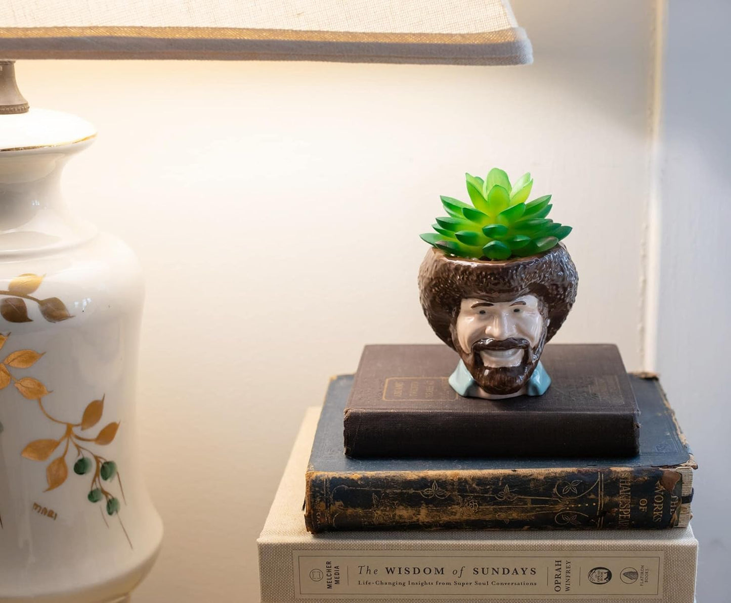 Toynk Bob Ross Mini Ceramic Planter with Artificial Succulent | Small Flower Pot, Faux Indoor Plants for Desk Shelf, Decorative Tray Trinket Dish | Home Decor Gifts and Collectibles