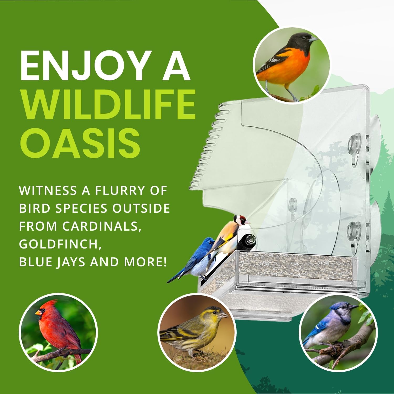 Nature Gear Acrylic Clear Window Bird Feeder with Strong Suction Cups,