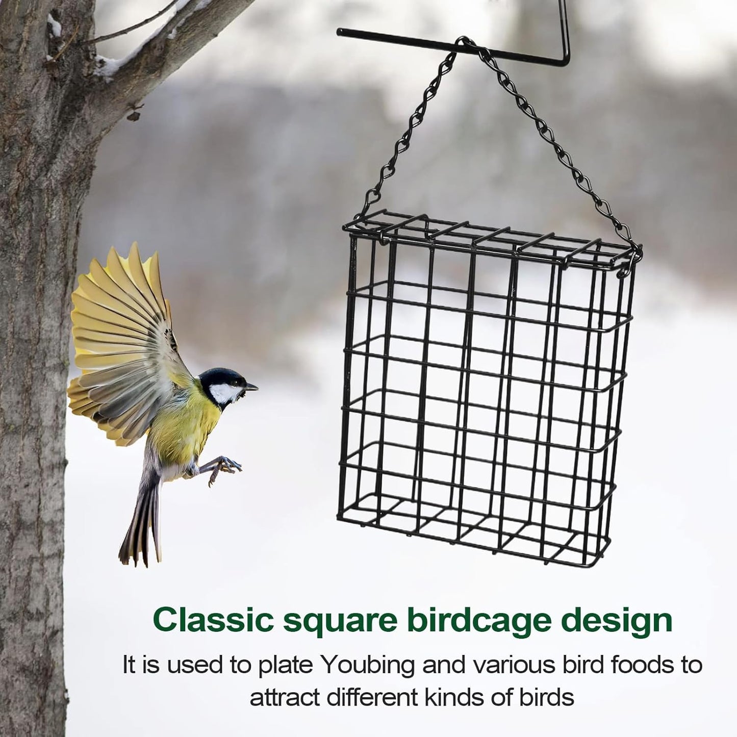 Suet Cage Bird Feeder, Metal Wire Suet Cage Feeder with Iron Wire Material and 13x13x4.5cm Size for Outdoor Garden Feeding Finch, Cardinal, Chickadee, Blue Bird