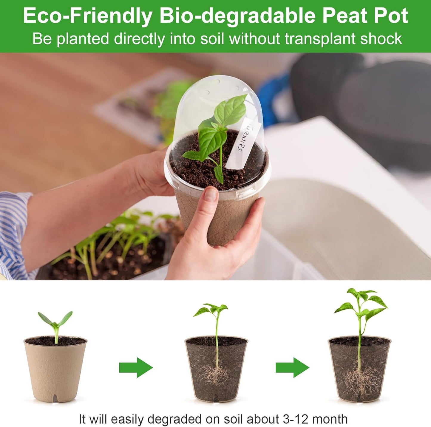 36 Set 3.15 Inch Peat Pots Plant Starters for Seedling with Humidity D