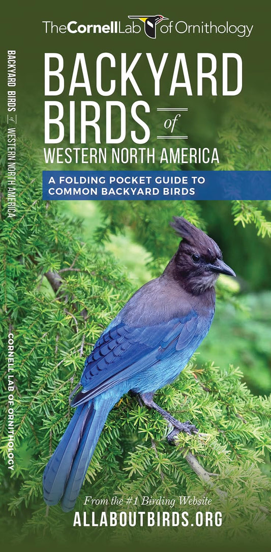 Backyard Birds of Western North America: A Folding Pocket Guide to Common Backyard Birds (All about Birds)