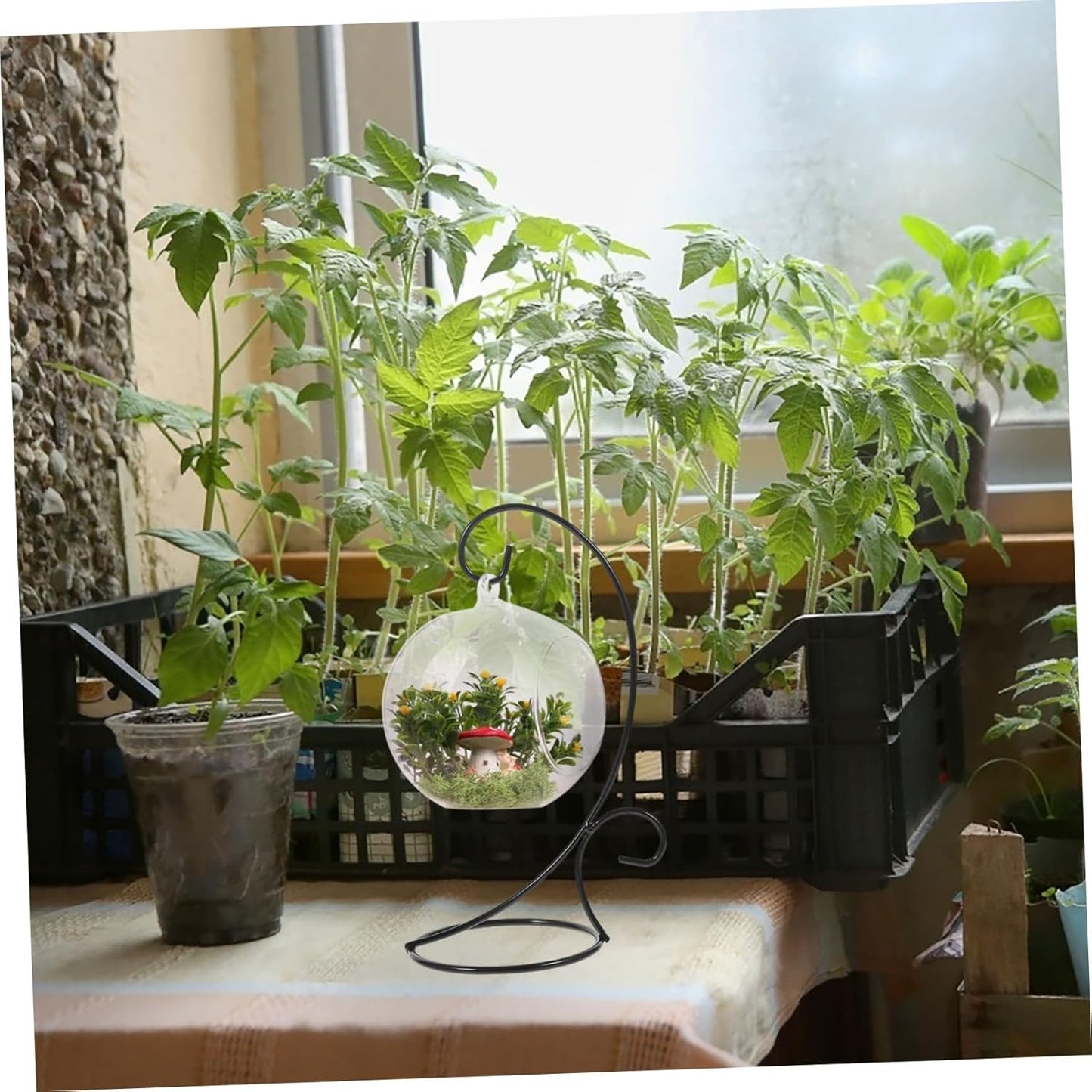 Milisten 2pcs Hanging Terrarium Stand Wrought Iron Air Planter Holder Ornament Rack for Home Decor