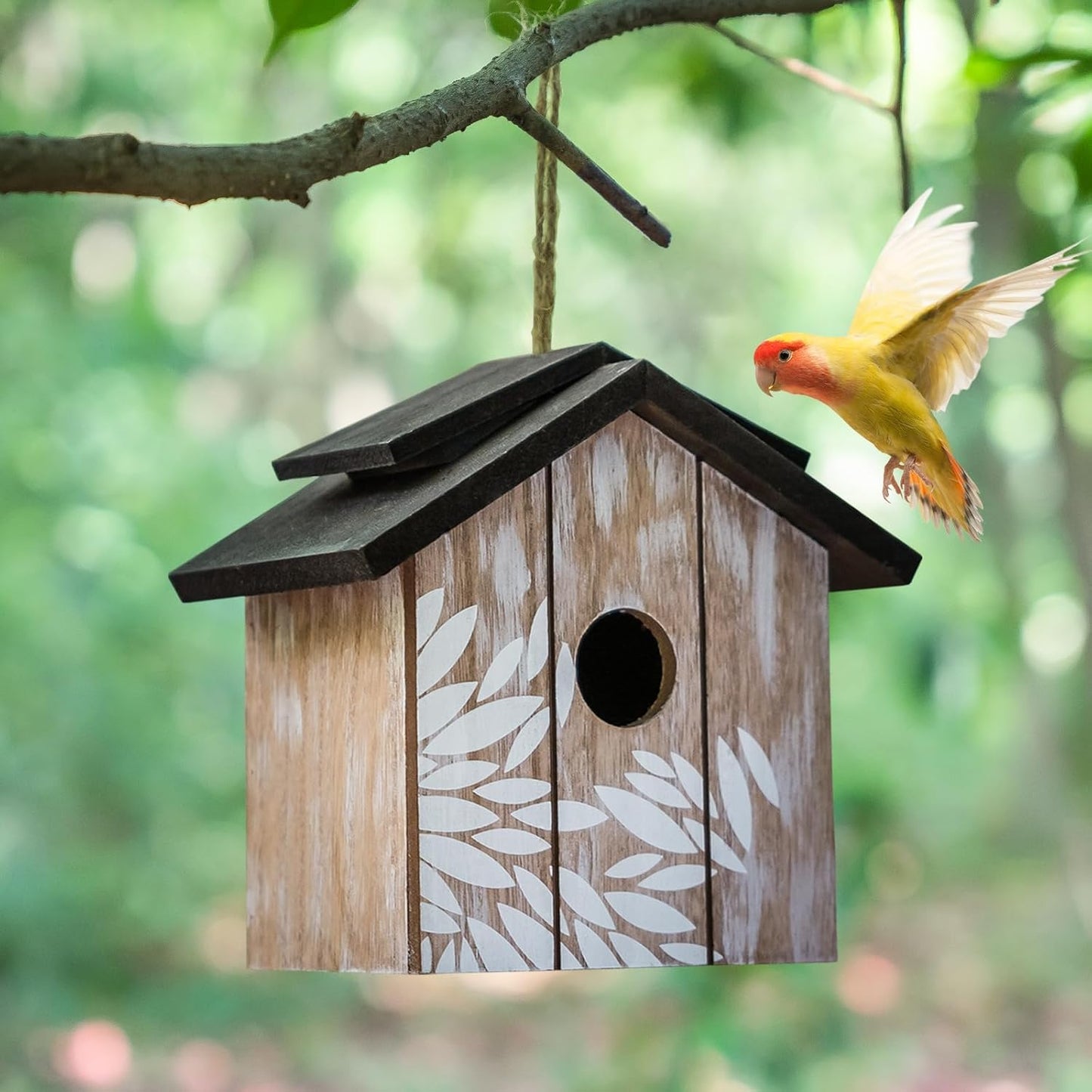 Topadorn Wooden Bird house Hanging Outdoor,Eco Friendly Materials and 