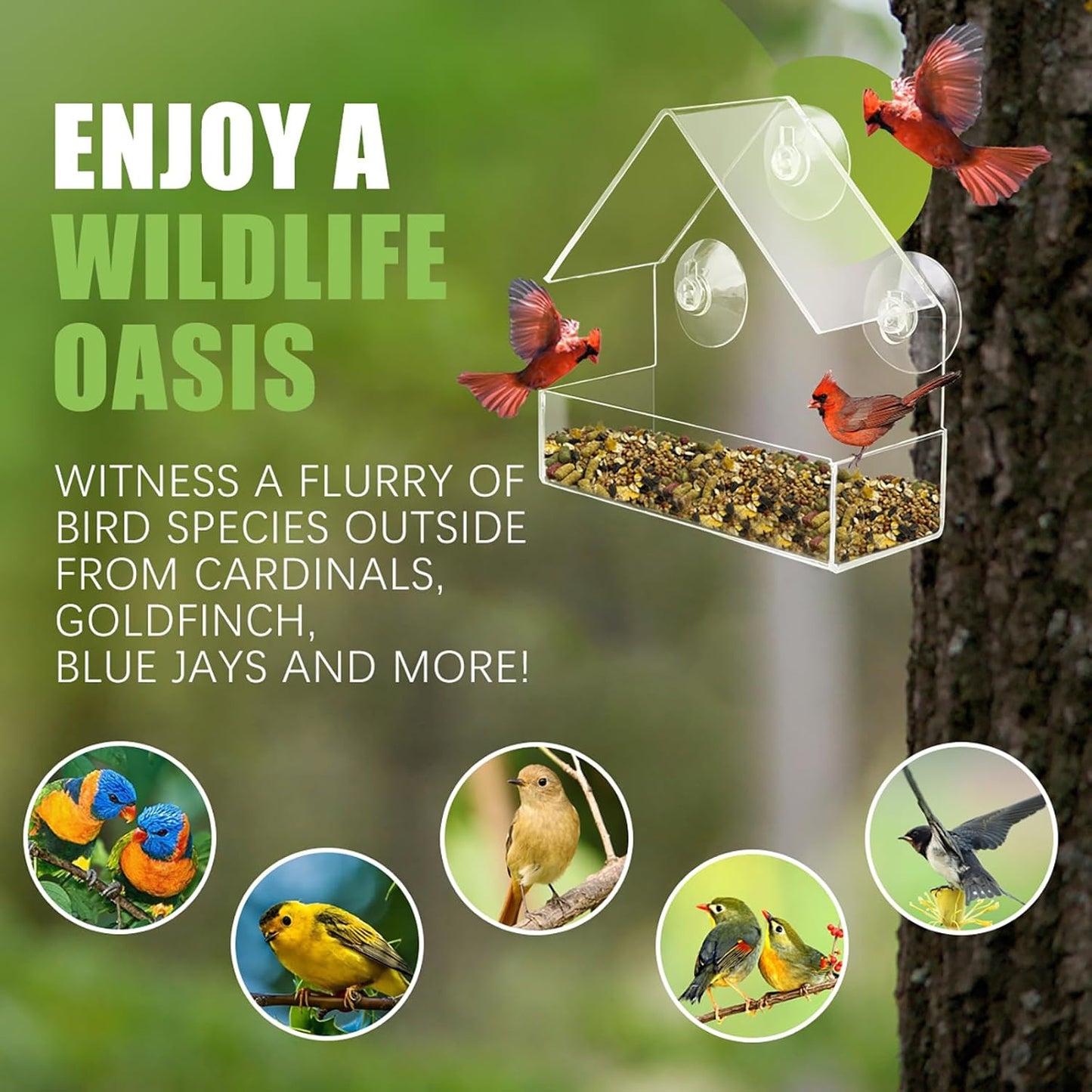 Clear Window Bird Feeder with Strong Suction Cups, Sturdy and Durable Acrylic Birdfeeders for Viewing Wild Birds Outside, Outdoor Small Bird House, Garden Decor