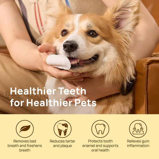 HICC Pet Teeth Cleaning Wipes for Dogs & Cats, Vet-Recommended Remove 