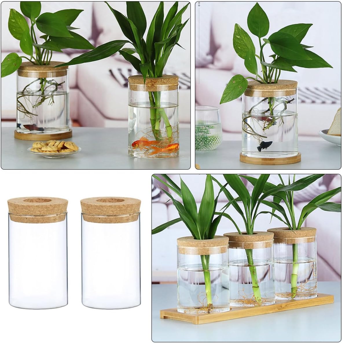 PRETYZOOM 2pcs Decorative Glass Vase with Wooden Cork Small Hydroponics Flower Pot for Indoor Greenery Stylish Planter for Home and Office Decor