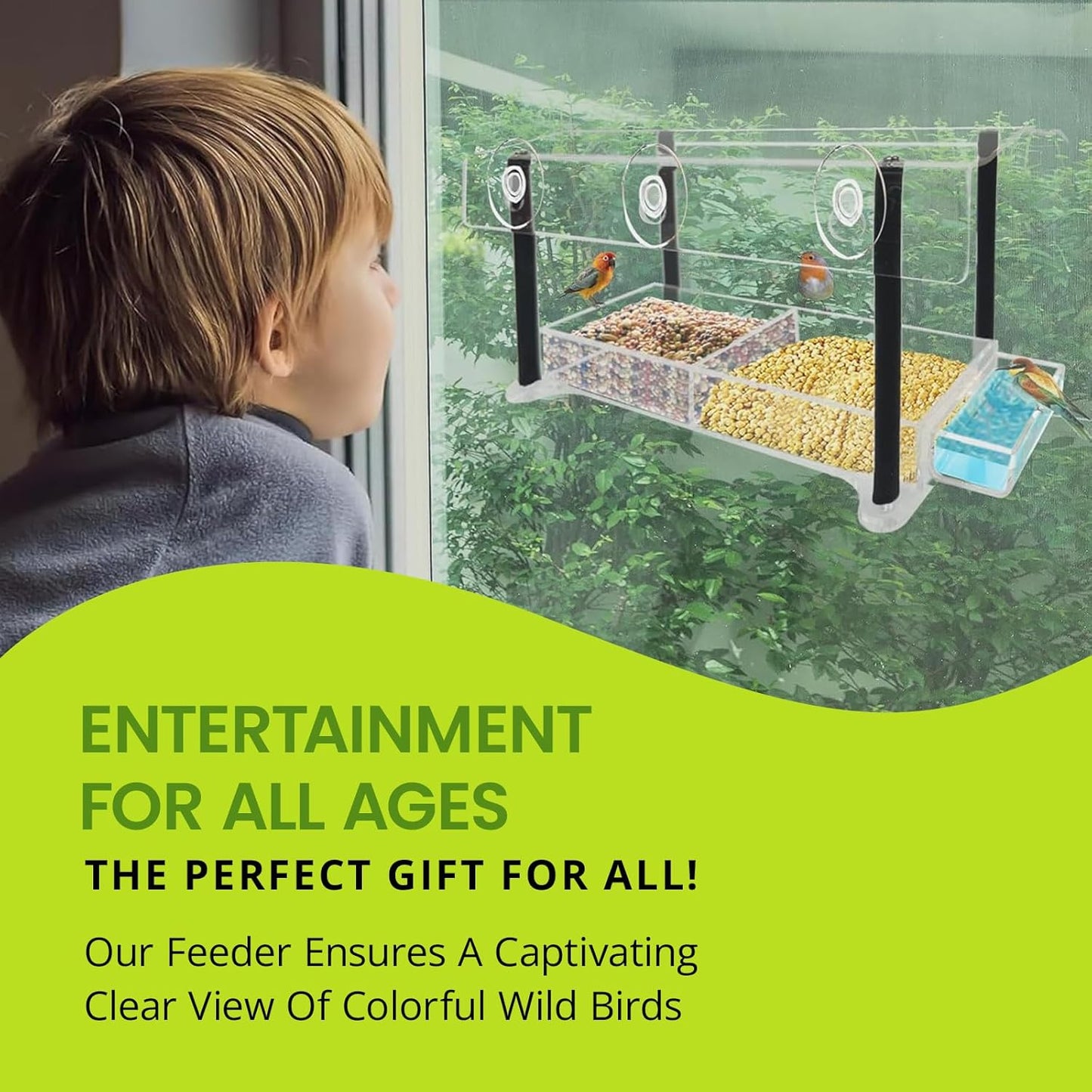 Nature Gear Window Bird Feeder with Strong Suction Cups, Clear Acrylic