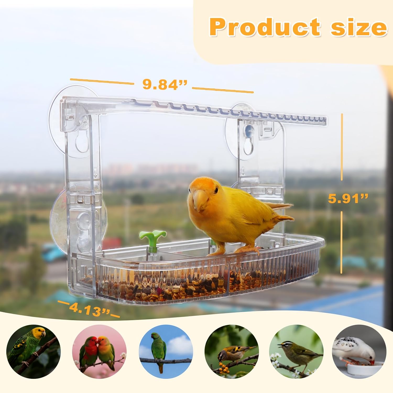 Transparent Acrylic Window Bird Feeder 3-Tier Removable Trays - 8 Suct