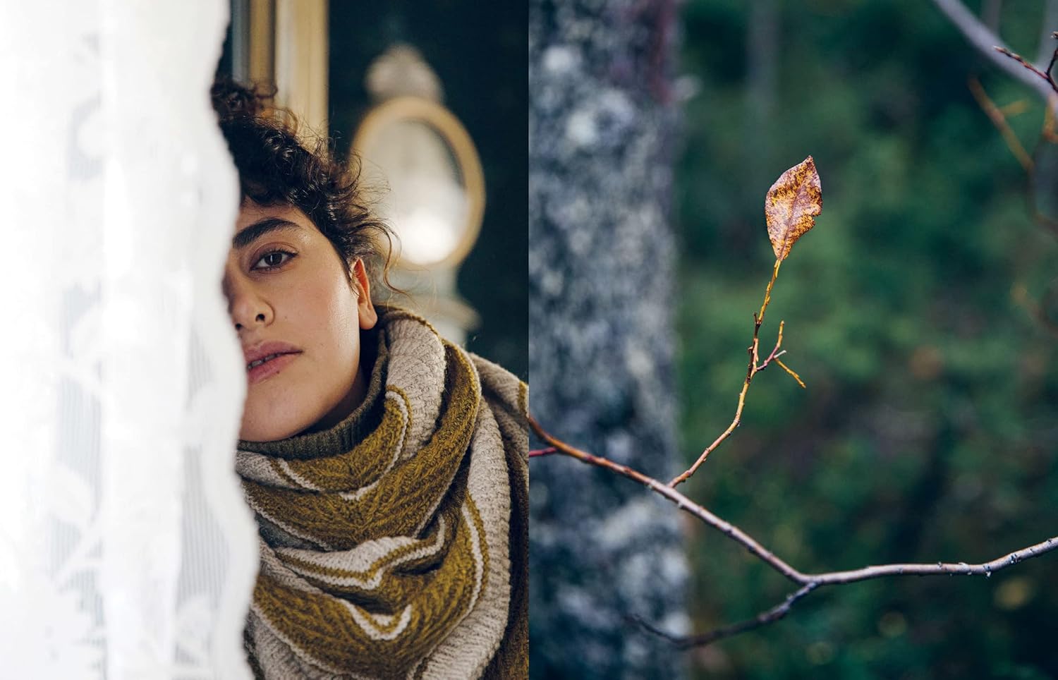 52 Weeks of Scarves: Beautiful Patterns for Year-round Knitting: Shawl