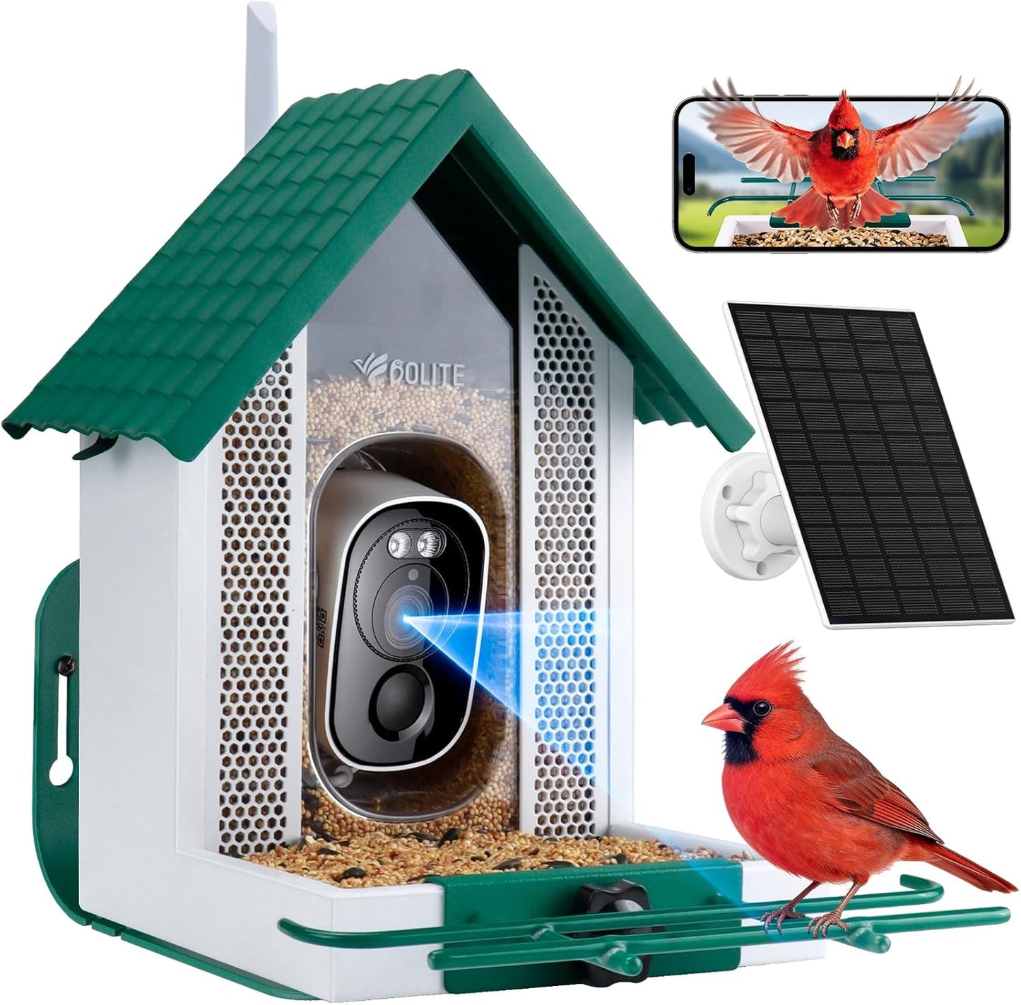 Smart Bird Feeder with Camera 2.5K HD, BOLITE Bird House for Outdoors, AI Auto-Capture & Motion Detection, Weatherproof Camera, Solar Powered, Great for Men Women Mom Dad & Bird Lovers, Green