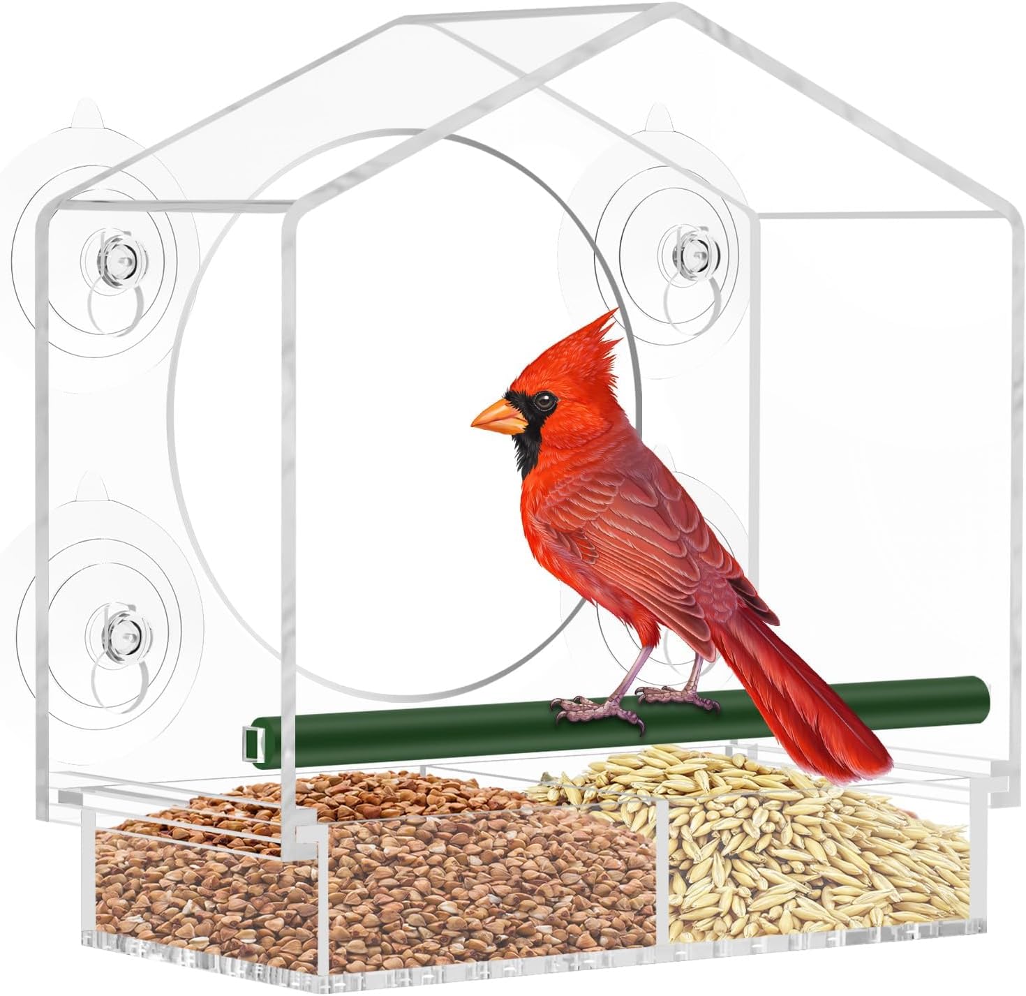 Window Bird Feeder with 4 Strong Suction Cups, Sturdy and Durable Acry