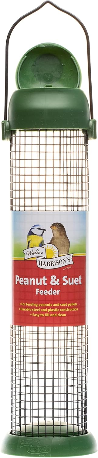 Walter Harrison's Wild Bird Flip Top Green Hanging Peanut Feeder - Lar