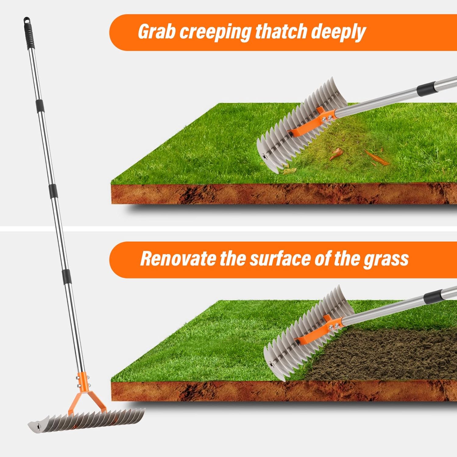 62" Adjustable Thatch Rake - 19-Tine Lawn Dethatcher with Nickel Steel