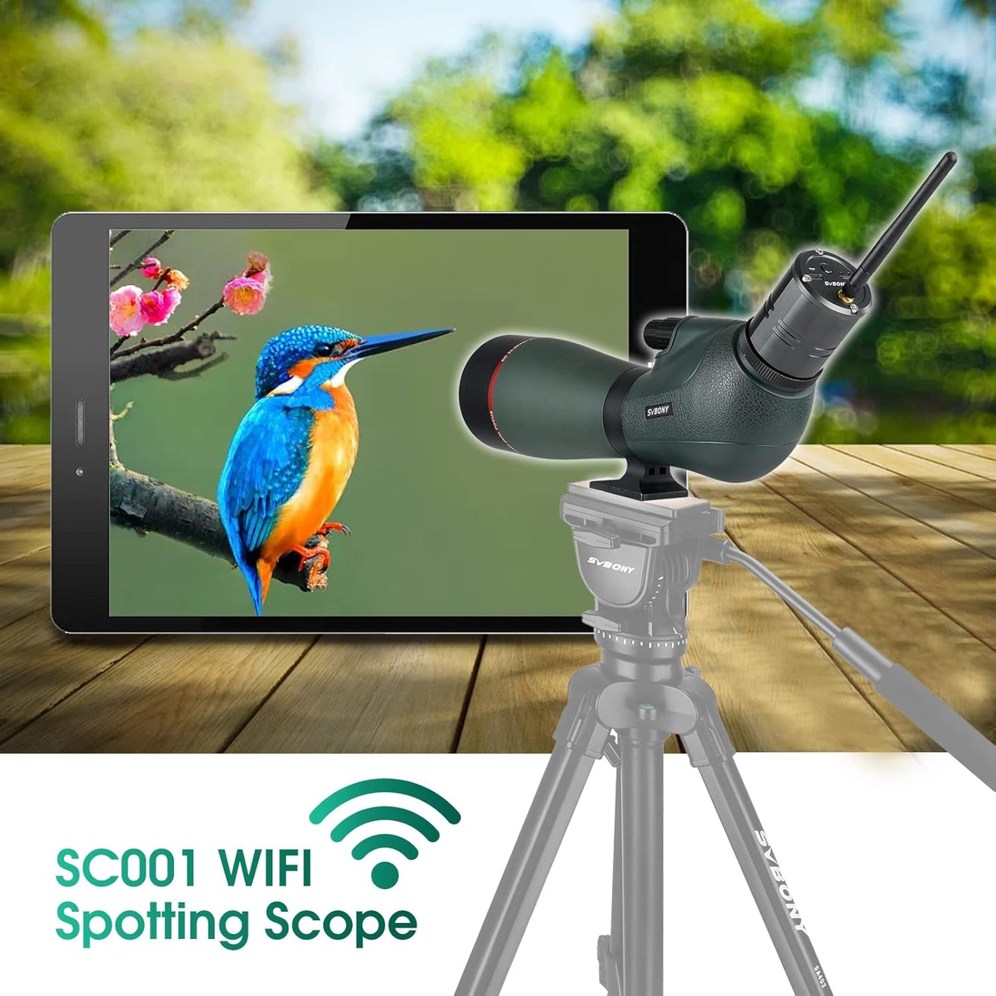 SVBONY SV406P 20-60x80 ED Spotting Scope, with Electronic Camera, ED Focal Lens True Color Representation, IPX7 Waterproof Digiscoping, Ultra High Definition Optics Scope for Bird Watching Wildlife