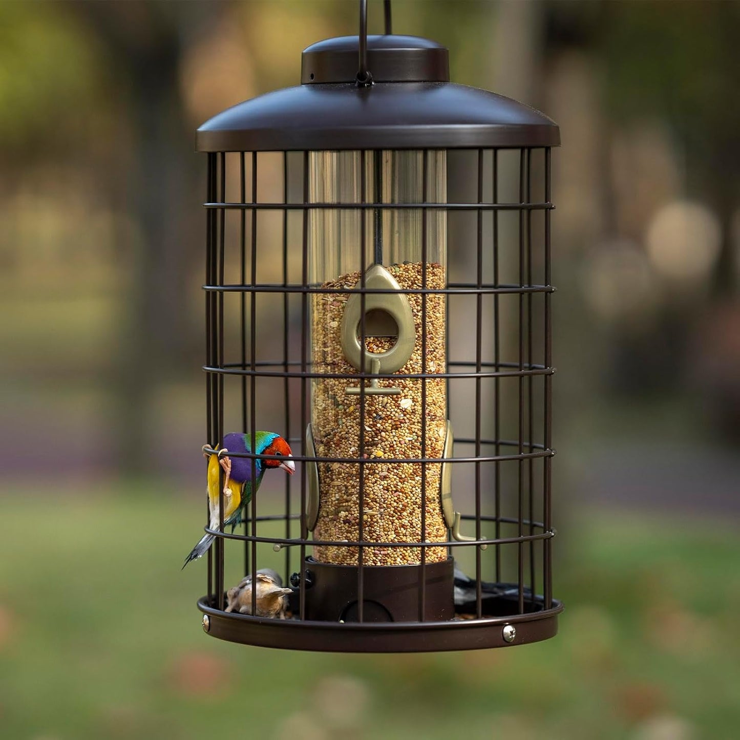Caged Bird Feeders Metal - 3 Lbs - Squirrel-Proof Wild Bird Feeders, C