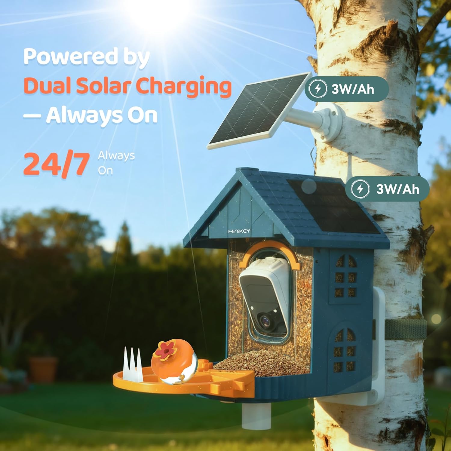 Smart Bird Feeder with Camera Outdoor Birdhouse:AI Identifies 11000+ S