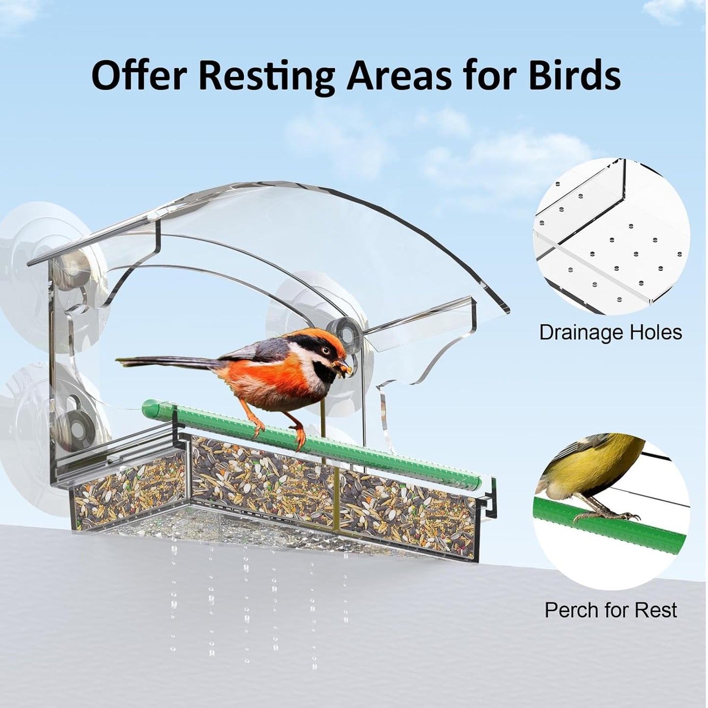 Clear Window Bird Feeder with 4 Strong Suction Cups, Removable Tray & Drain Holes – Ideal for Bird Watching with Cats – Great Gift for Family & Friends
