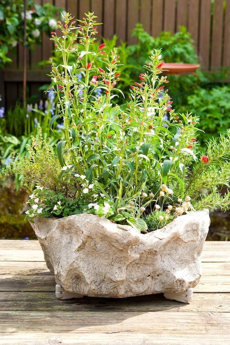 Bosmere Pot Toes, Plant Pot Risers for Indoor and Outdoor, Prevent Stains and Rotting on Wood, Cement, and Tile - Black (Pack of 12)