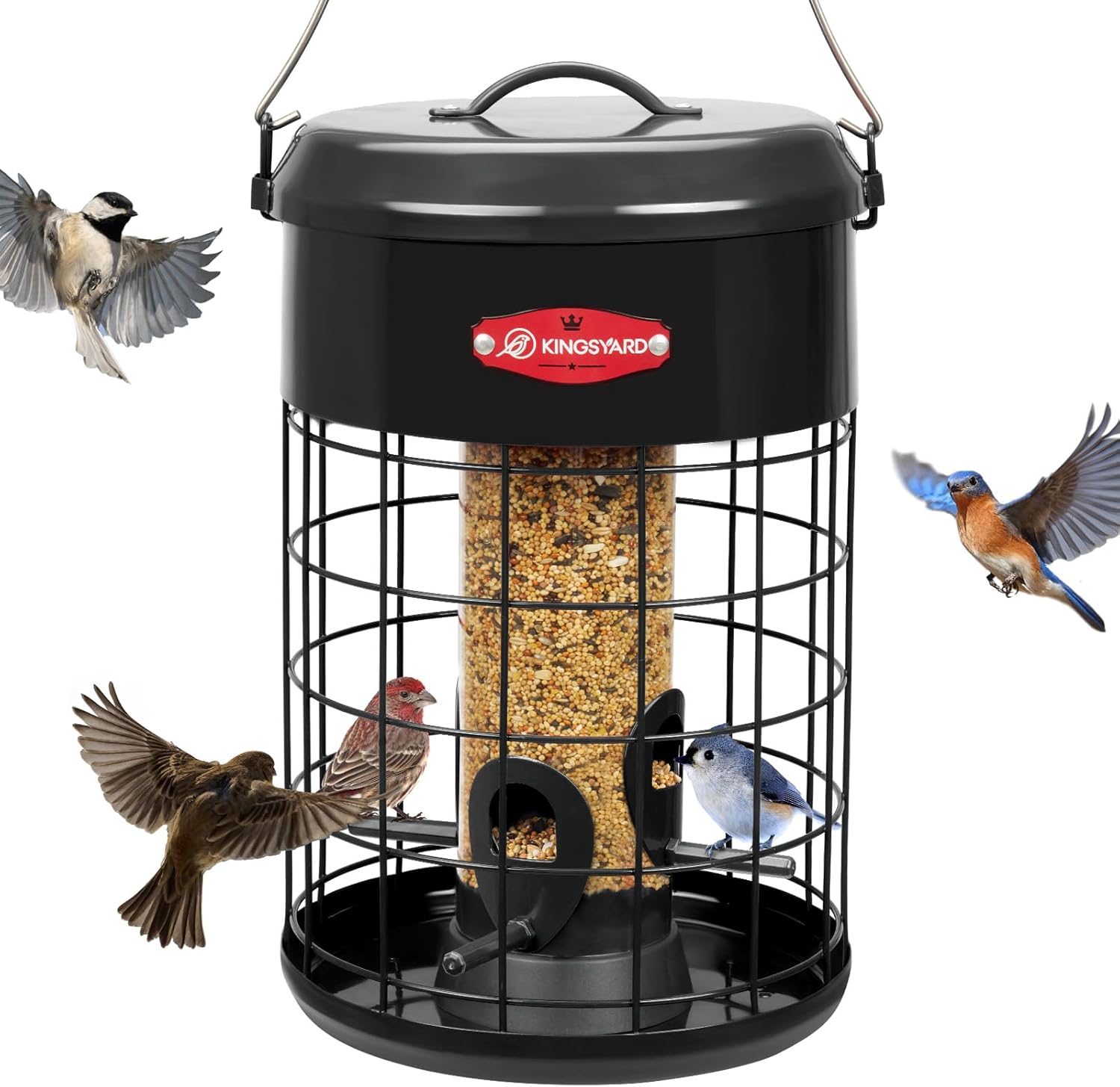 Kingsyard Upgraded Squirrel Proof Caged Bird Feeder for Outdoor Hangin