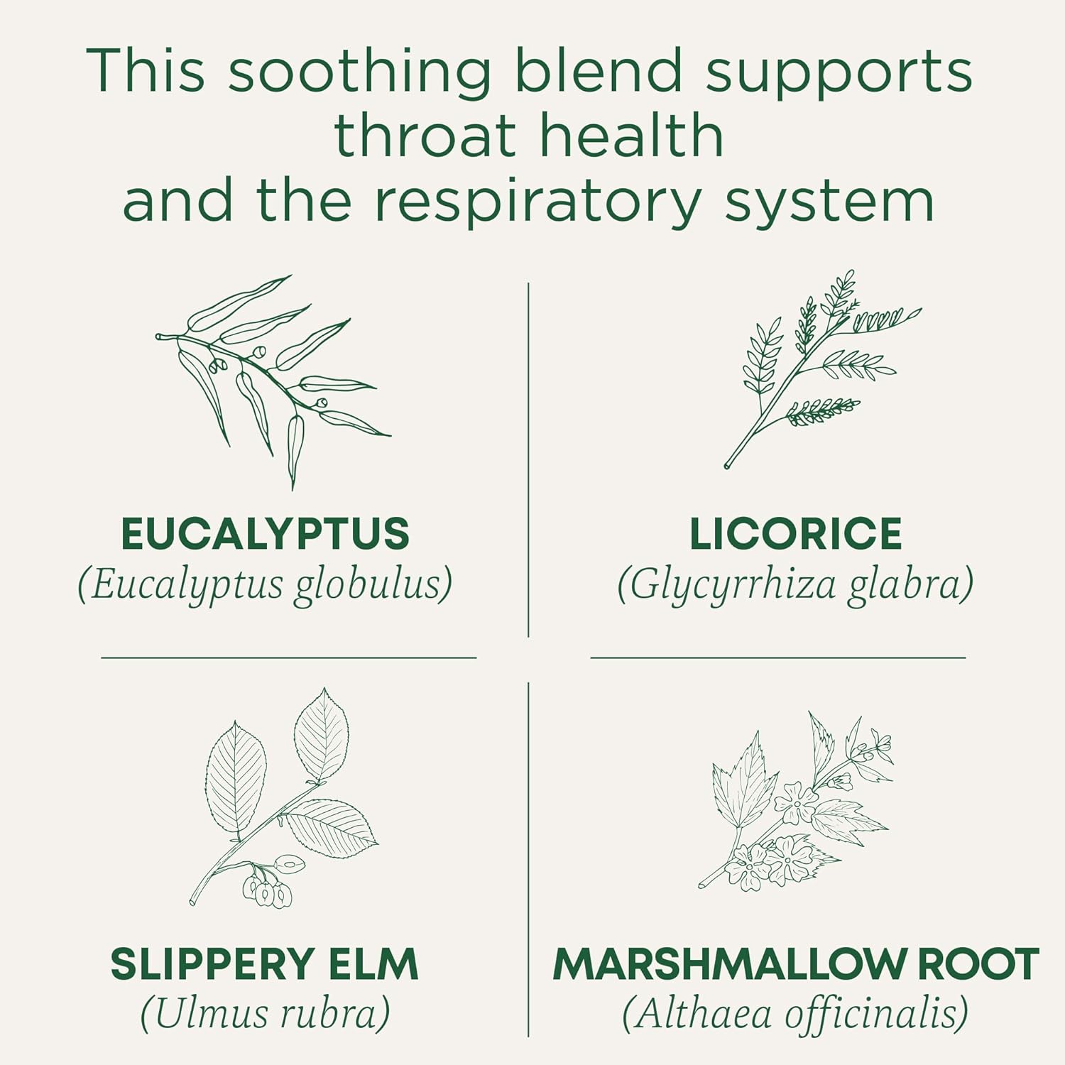 Traditional Medicinals Organic, Throat Coat Tea, Eucalyptus & Slippery
