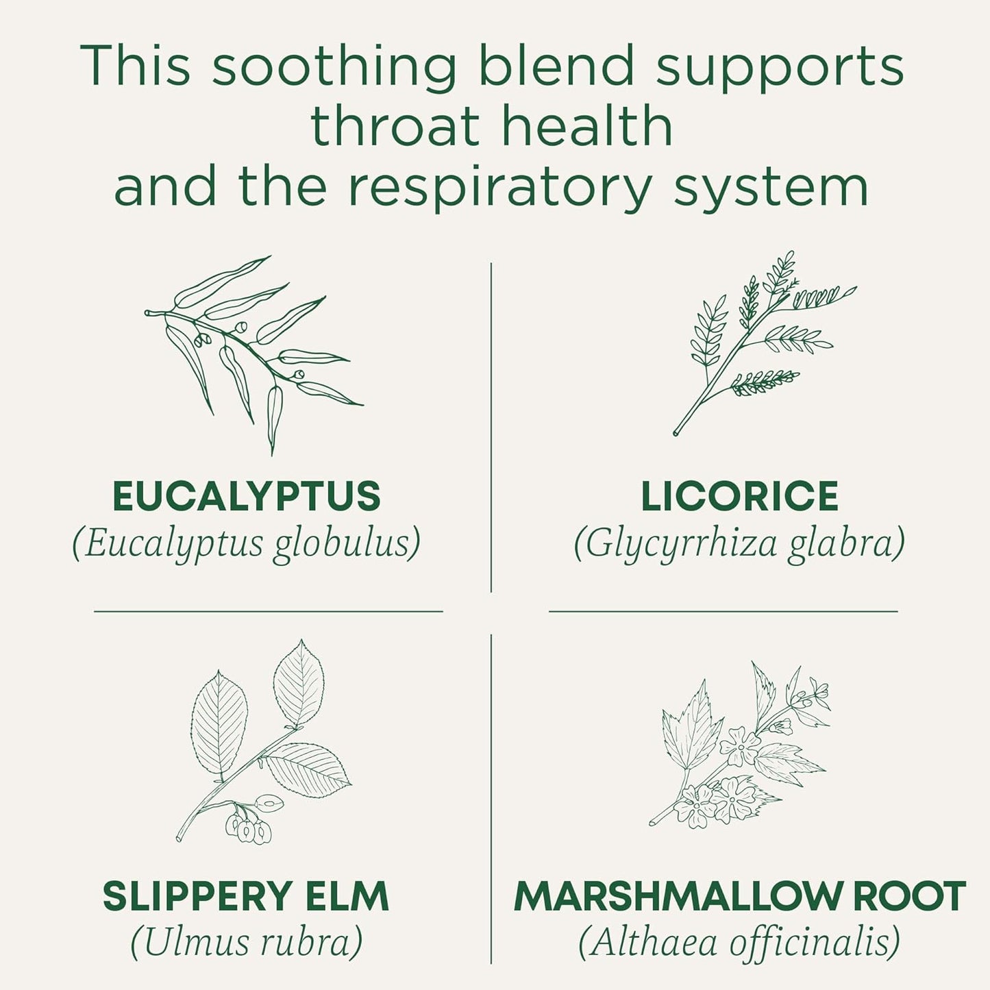 Traditional Medicinals Organic, Throat Coat Tea, Eucalyptus & Slippery Elm - Supports Respiratory and Throat Health - Kosher, Non-GMO, Caffeine-Free, Compostable - 16 Tea Bags